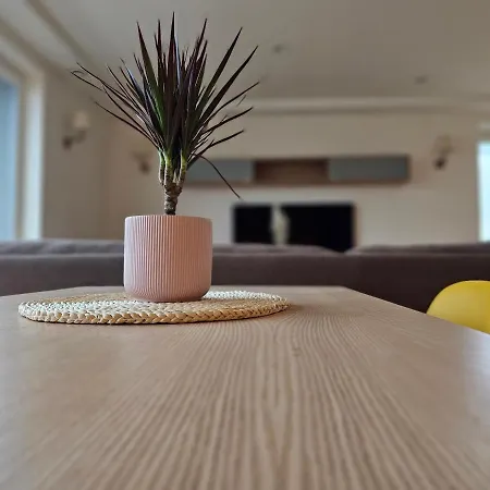 Penthouse Terrace 아파트 빌뉴스