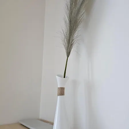 Apartman Penthouse Terrace *